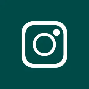 Instagram Quicklink Grøn